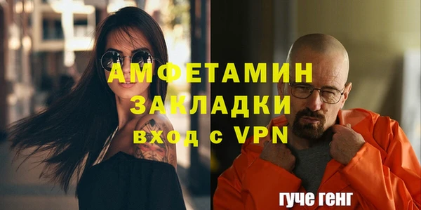 прущие грибы Верея