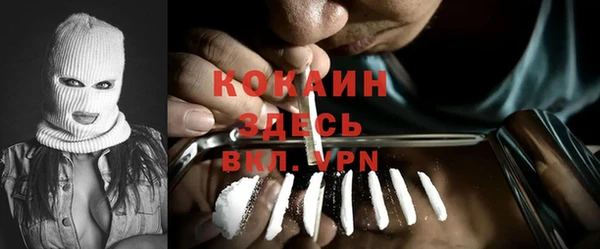 прущие грибы Верея