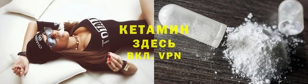 прущие грибы Верея