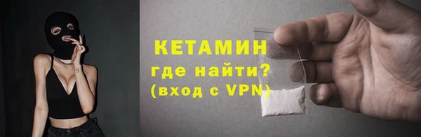 прущие грибы Верея