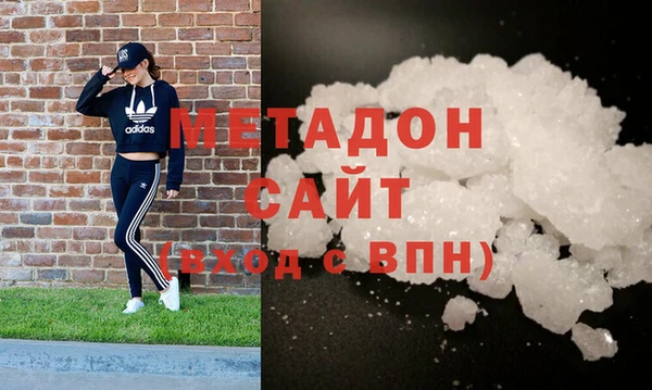 прущие грибы Верея