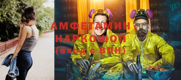 амф Верхний Тагил