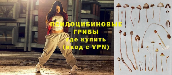 прущие грибы Верея