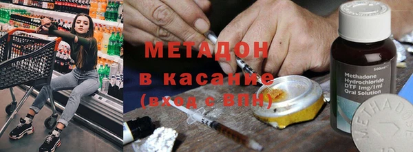 прущие грибы Верея