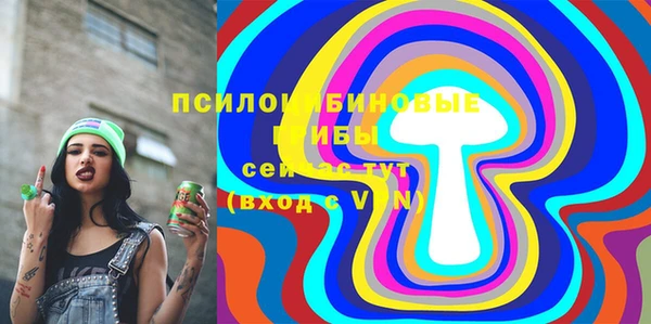 прущие грибы Верея