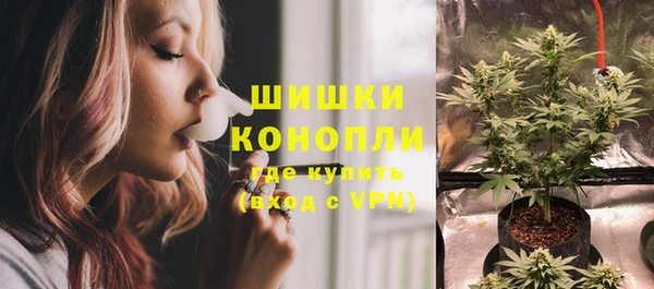 прущие грибы Верея