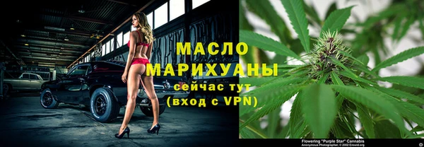 амф Верхний Тагил