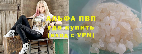 амф Верхний Тагил