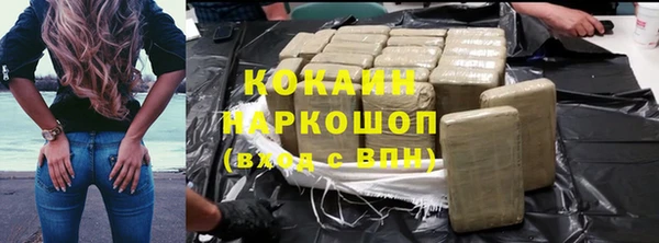 прущие грибы Верея