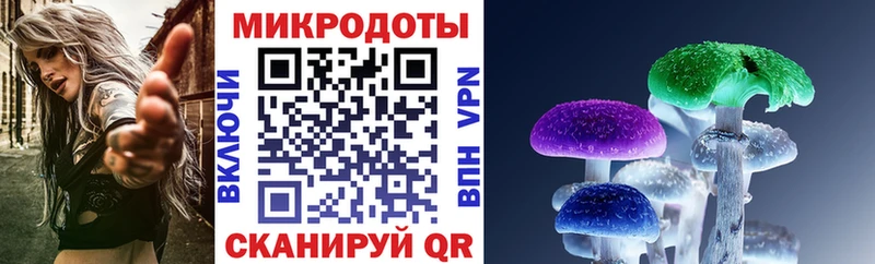 Купить где  Кукмор  Галлюциногенные грибы Psilocybine cubensis 